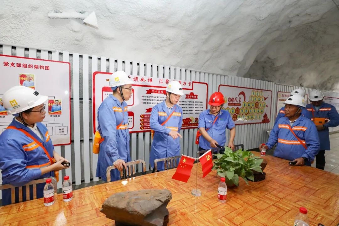 1719469471179247.jpg 昌江縣委書記陳儒茂到海南礦業調研2_副本.jpg